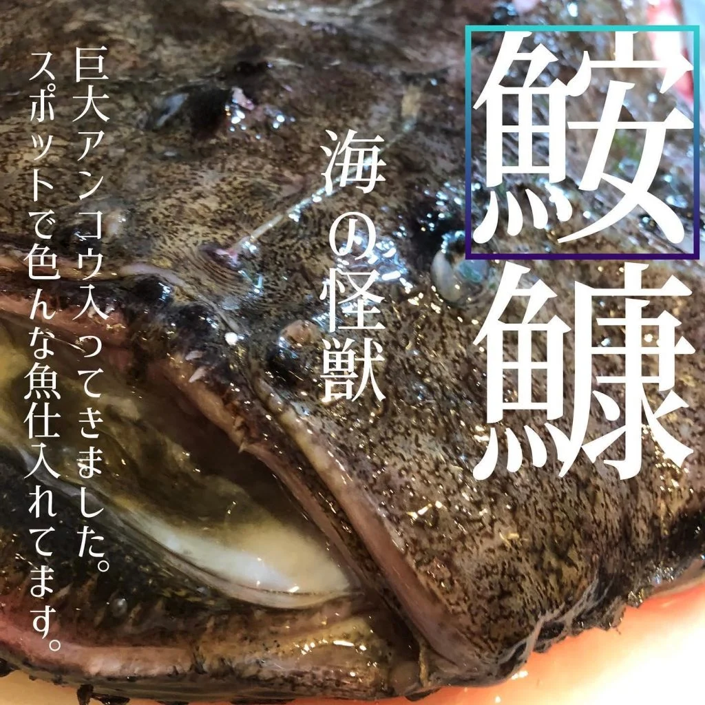 メニューにない魚も仕入れてます🐟@北海道/札幌/居酒屋/個室/海鮮/焼鳥/喫煙可/人気/おすすめ