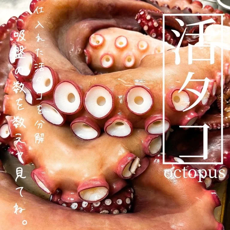 新鮮な活タコ🐙@北海道/札幌/居酒屋/個室/海鮮/焼鳥/喫煙可/人気/おすすめ