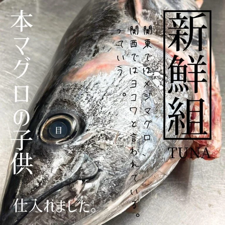日本はマグロ大国🐟@北海道/札幌/居酒屋/個室/海鮮/焼鳥/喫煙可/人気/おすすめ/宴会/飲み放題/日本酒