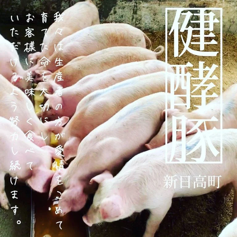 新日高町の健酵豚@北海道/札幌/居酒屋/個室/海鮮/焼鳥/喫煙可/人気/おすすめ/宴会/飲み放題/日本酒
