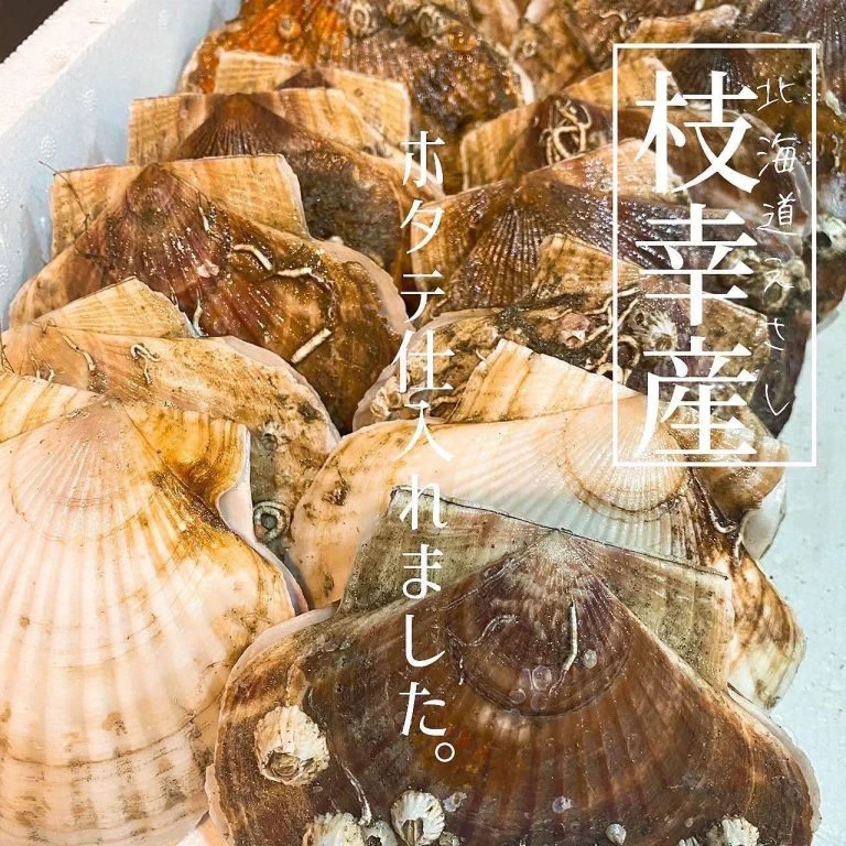 枝幸産ホタテが沢山🎊@北海道/札幌/居酒屋/個室/海鮮/焼鳥/喫煙可/人気/おすすめ/宴会/飲み放題/日本酒