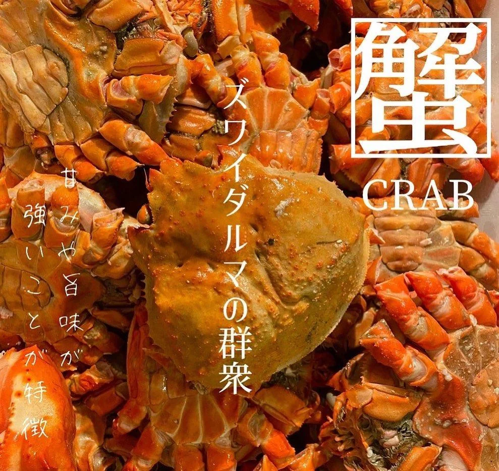 ズワイダルマ🦀入荷@北海道/札幌/居酒屋/個室/海鮮/焼鳥/喫煙可/人気/おすすめ/宴会/飲み放題/日本酒