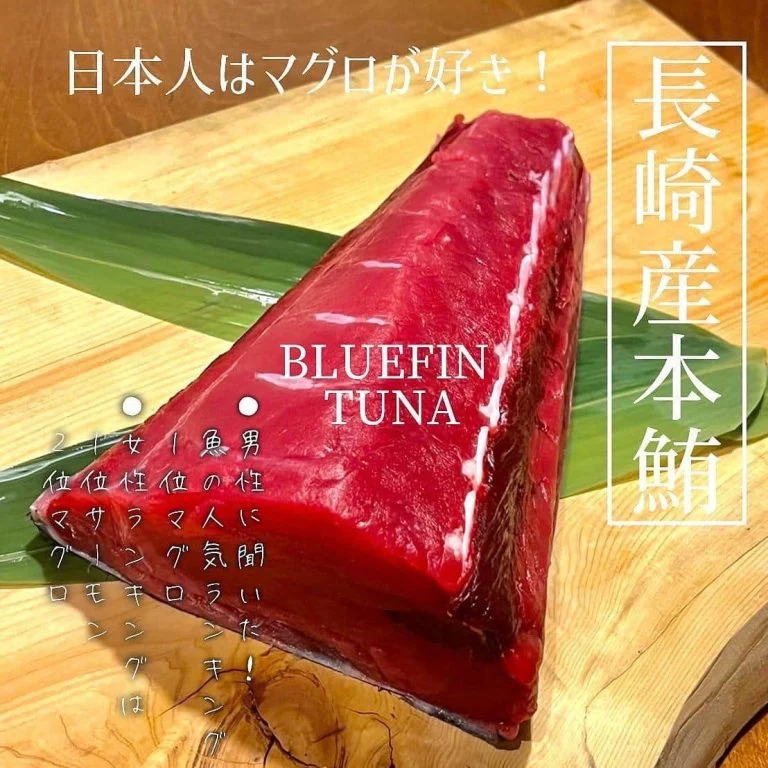 【日本人はマグロ好きが多い国!】