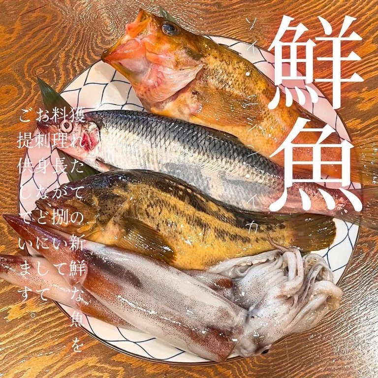 【水揚げされたばかりの鮮魚🐟】
