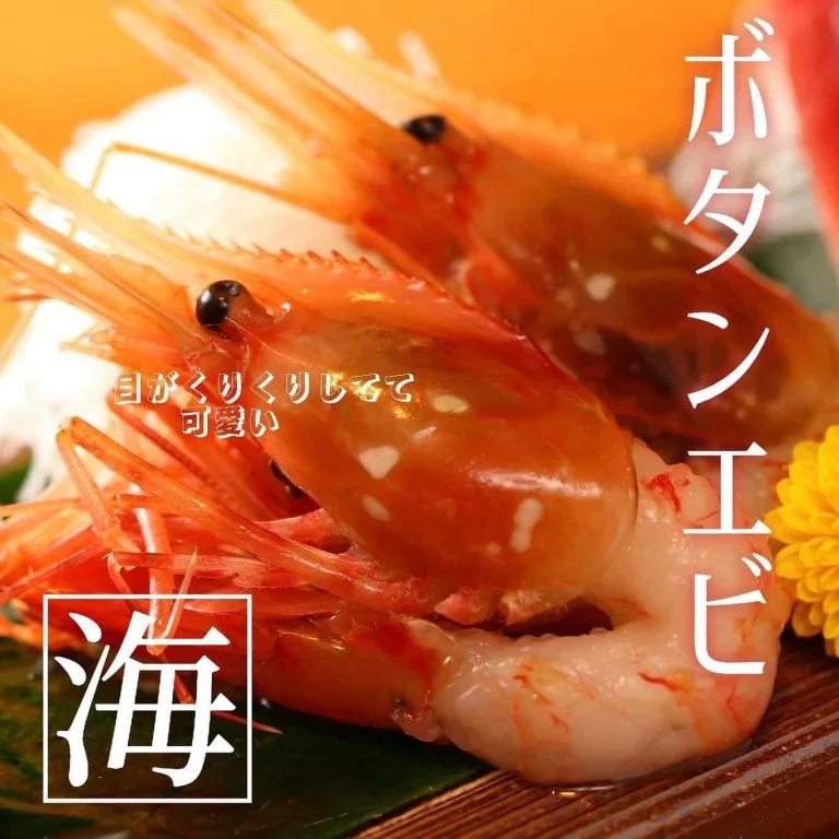 ボタンエビーーーー🦐@北海道/札幌/居酒屋/個室/海鮮/焼鳥/喫煙可/人気/おすすめ/宴会/飲み放題/日本酒