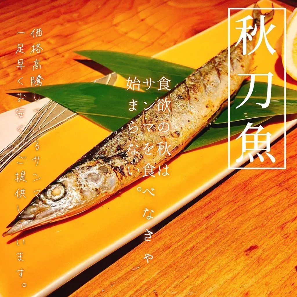 【秋刀魚スタート🐟】