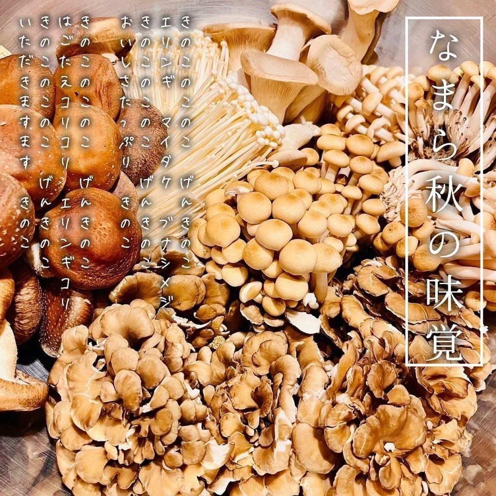 【なまら秋の味覚🍄】@北海道/札幌/居酒屋/個室/海鮮/焼鳥/喫煙可/人気/おすすめ/宴会/飲み放題/日本酒