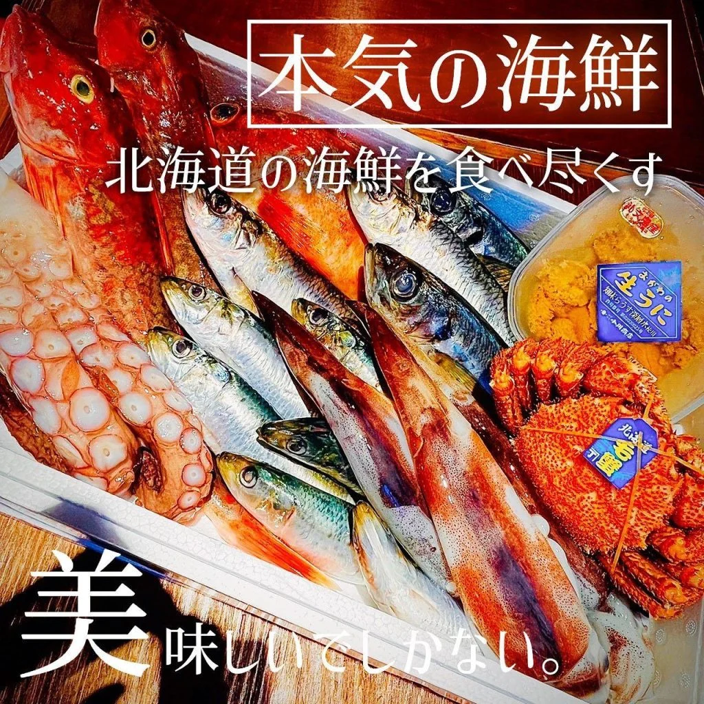 【北海道の海鮮を食べ尽くす🐟】
