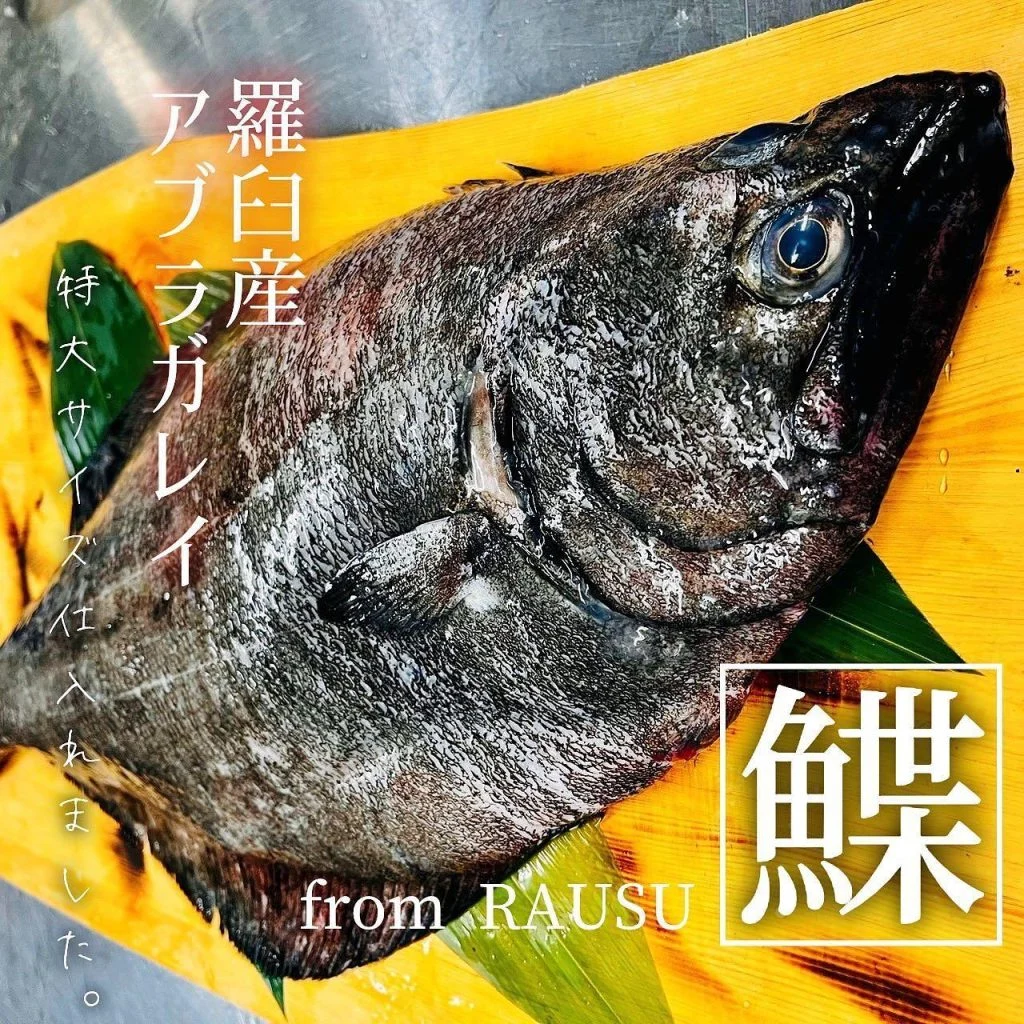 【羅臼産アブラガレイ入荷🐟】@北海道/札幌/居酒屋/個室/海鮮/焼鳥/喫煙可/人気/おすすめ/宴会/飲み放題/日本酒