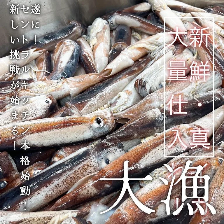 @北海道/札幌/居酒屋/個室/海鮮/焼鳥/喫煙可/人気/おすすめ/宴会/飲み放題/日本酒