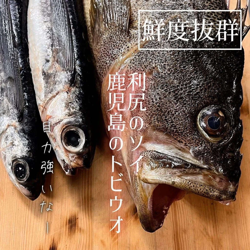 【海鮮魂🐟】