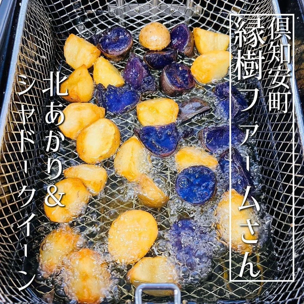 【⚽️日本代表を応援してます⚽️】