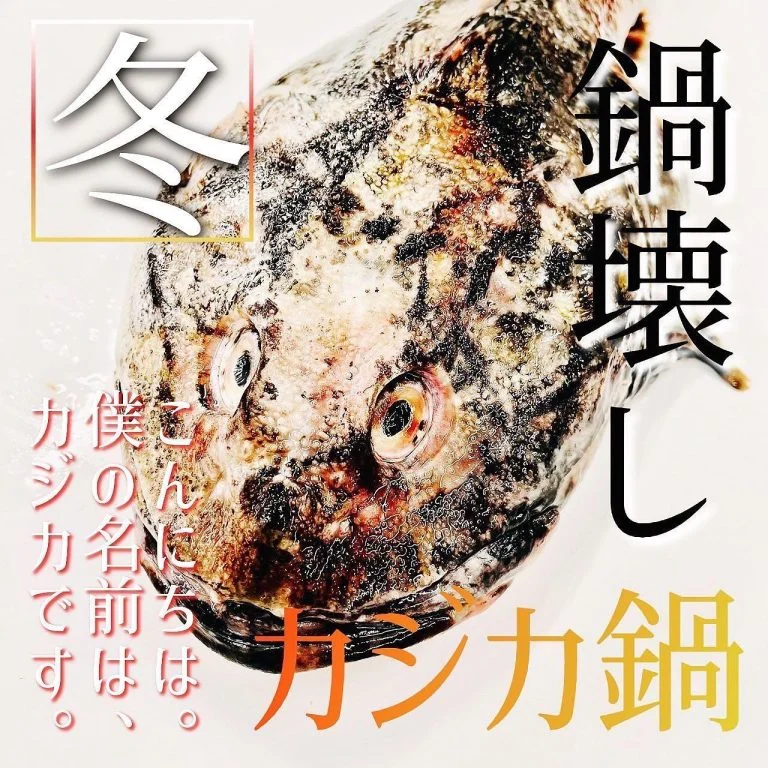 【ほっかいどう応援クーポン】