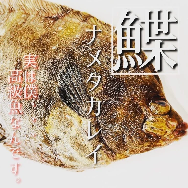 【ほっかいどう応援クーポン】