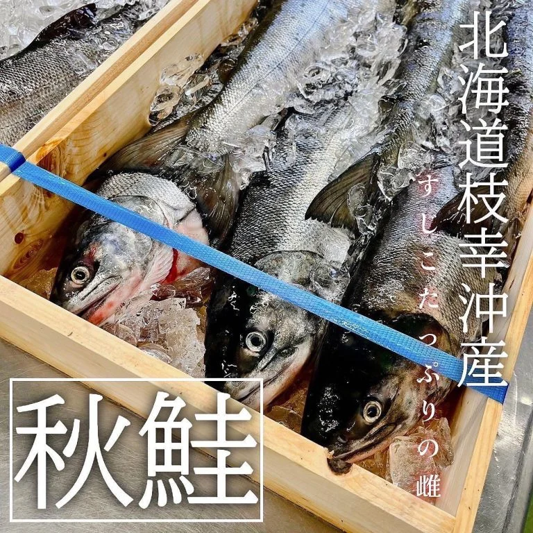 【ほっかいどう応援クーポン】