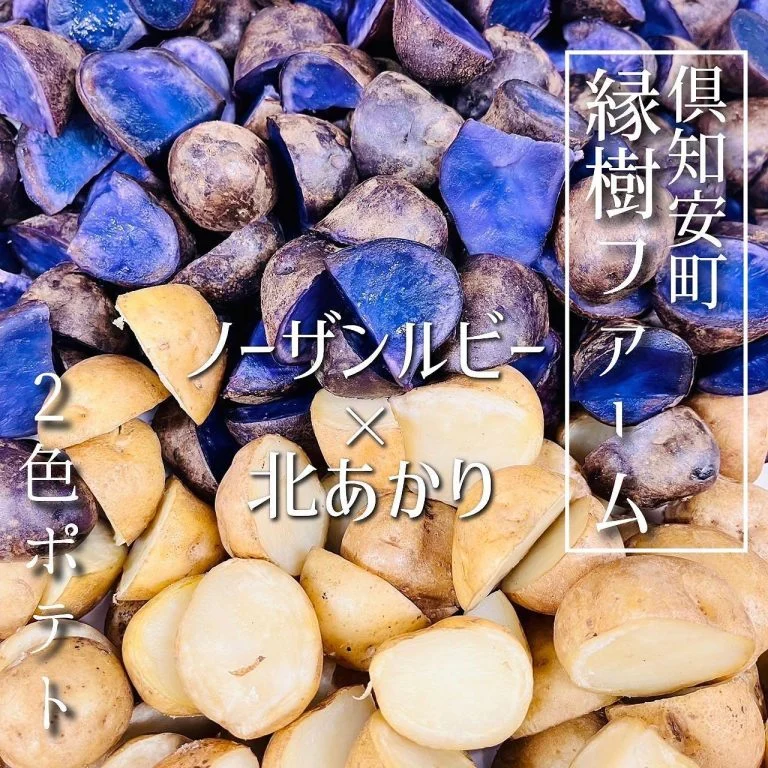 【北海道応援クーポン利用可能店🙋🏻‍♂️】