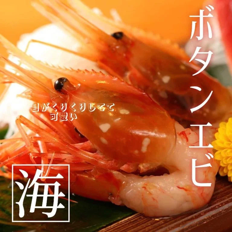 【ほっかいどう応援クーポンが使えるお店】 @北海道/札幌/居酒屋/個室/海鮮/焼鳥/喫煙可/人気/おすすめ/宴会/飲み放…