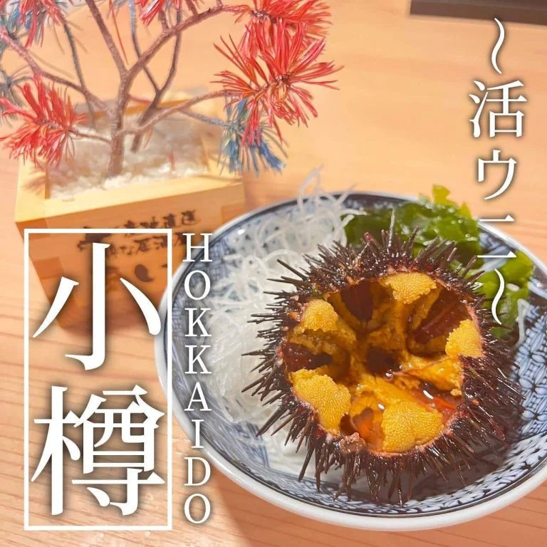 【ほっかいどう応援クーポンが使えるお店】 @北海道/札幌/居酒屋/個室/海鮮/焼鳥/喫煙可/人気/おすすめ/宴会/飲み放…