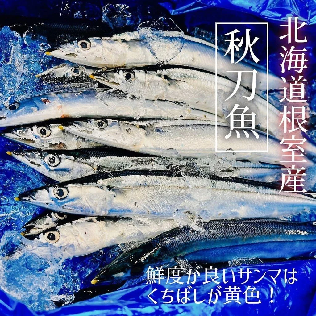 【札幌で海鮮食べるならあいよ】 @北海道/札幌/居酒屋/個室/海鮮/焼鳥/喫煙可/人気/おすすめ/宴会/飲み放題/日本酒…
