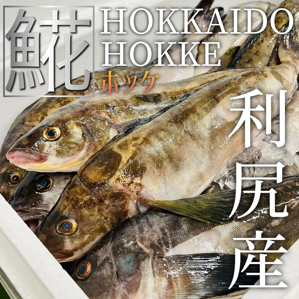 【インボイス登録店舗】 @北海道/札幌/居酒屋/個室/海鮮/焼鳥/喫煙可/人気/おすすめ/宴会/飲み放題/日本酒/牡蠣/…