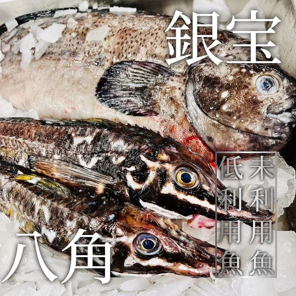 【宴会ご予約承っております】