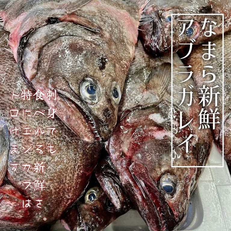 【宴会ご予約承っております】