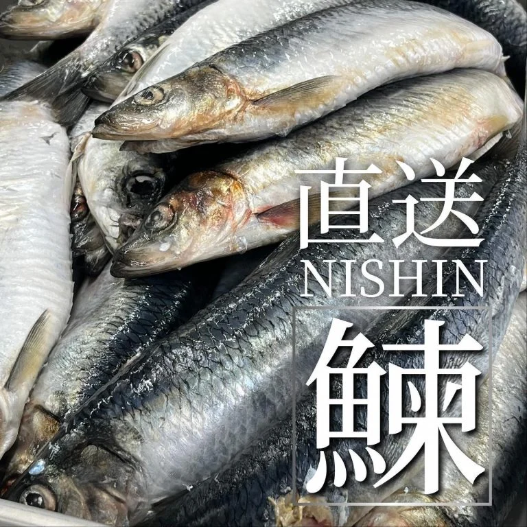 【宴会ご予約承っております】