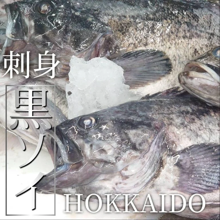 【宴会ご予約承っております】