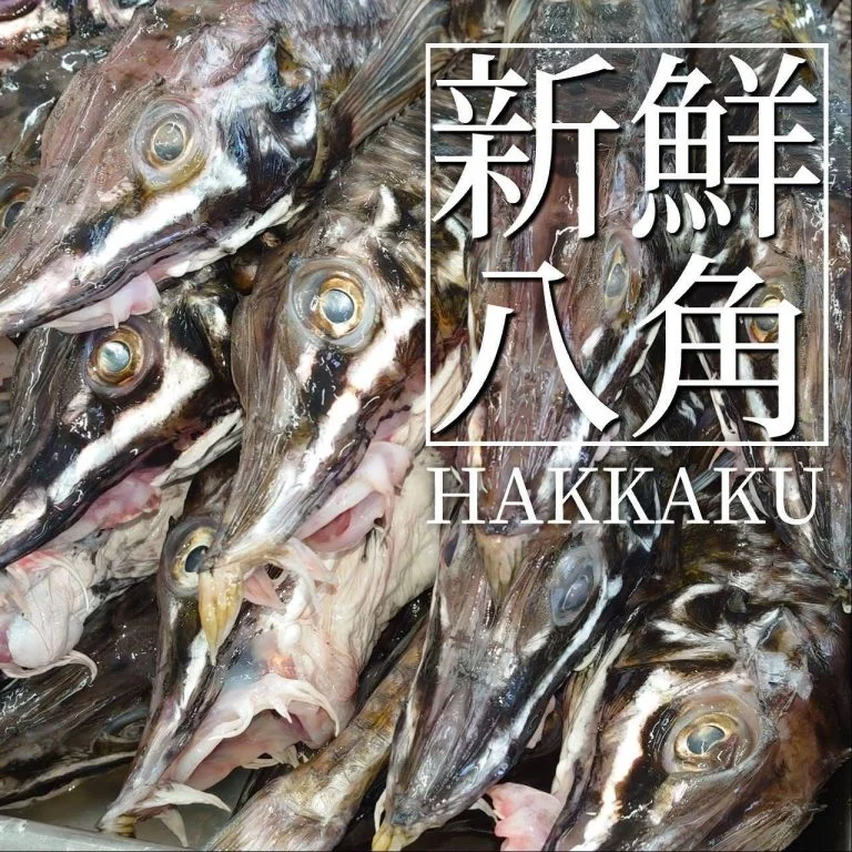 【喫煙OK】札幌すすきの周辺で宴会ができるお店をお探しなら！