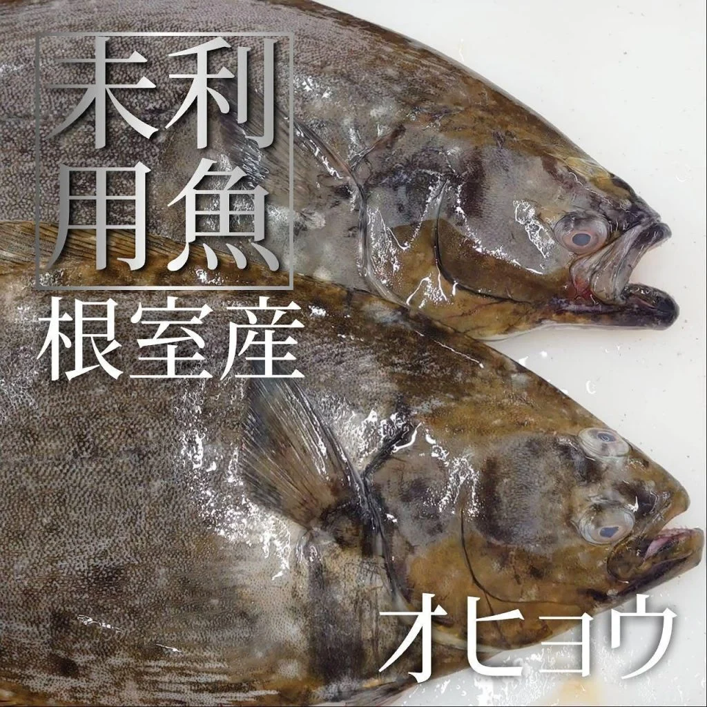【喫煙OK】札幌すすきの周辺で宴会ができるお店をお探しなら！