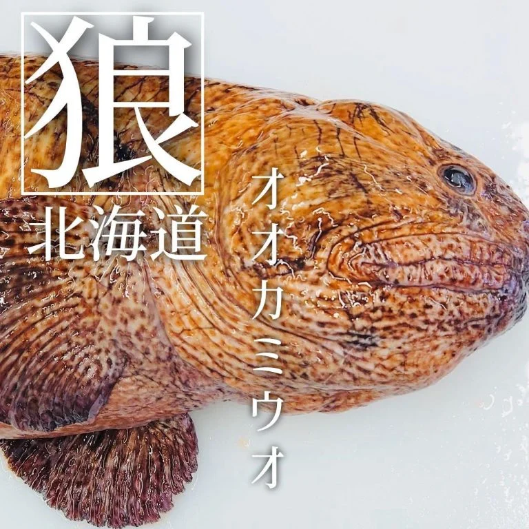【喫煙OK】札幌すすきの周辺で宴会ができるお店をお探しなら！