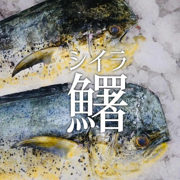 【喫煙OK】札幌すすきの周辺で宴会ができるお店をお探しなら！