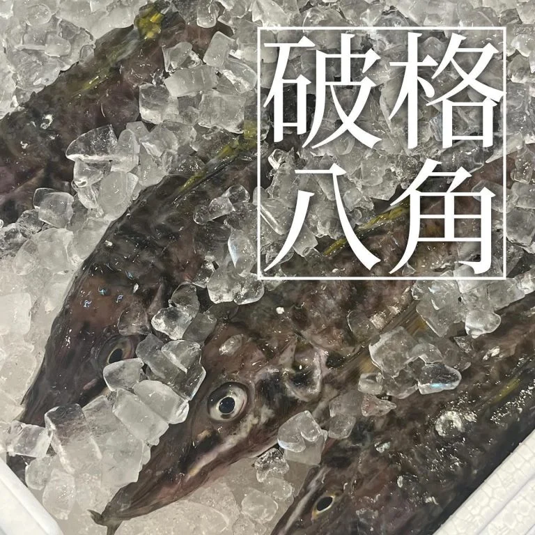 【喫煙OK】札幌で宴会ができるお店をお探しなら！