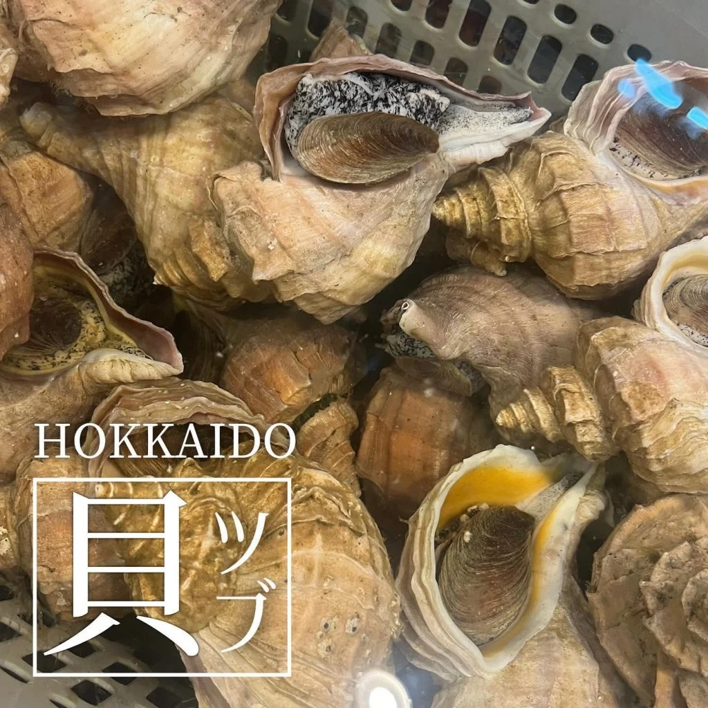 【喫煙OK】札幌すすきの周辺で宴会ができるお店をお探しなら！