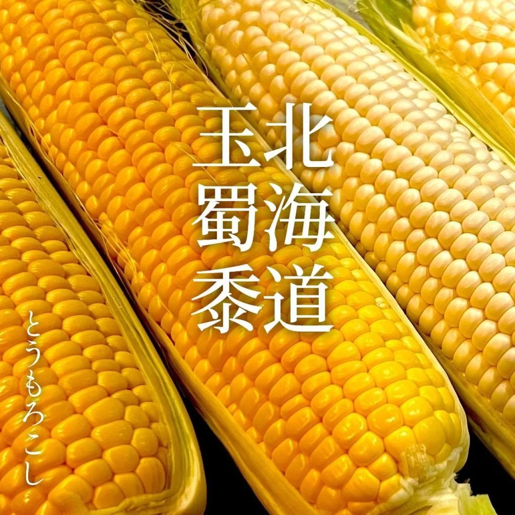 【喫煙OK】札幌で宴会ができるお店をお探しなら！