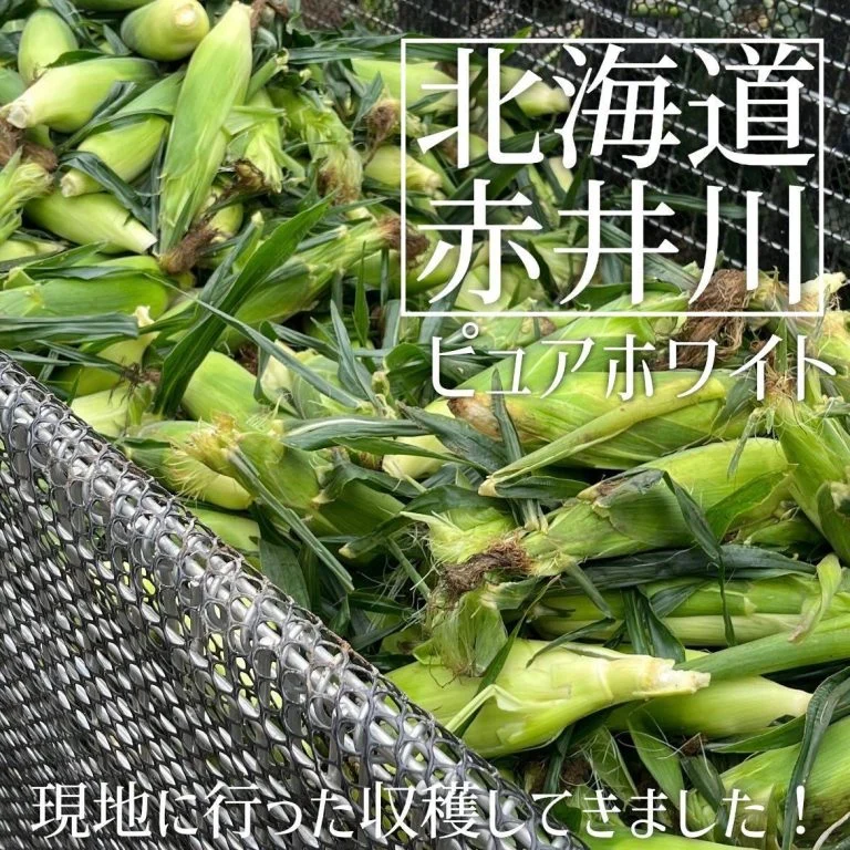 【喫煙OK】札幌駅周辺で宴会ができるお店をお探しなら！