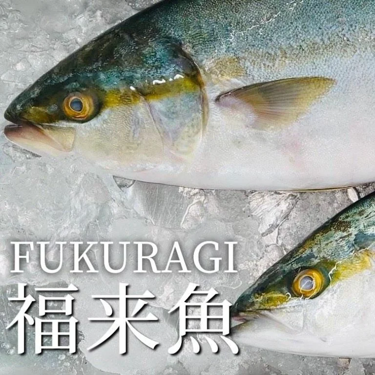 【忘年会予約開始】