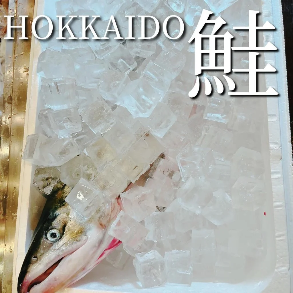 【忘年会予約開始】