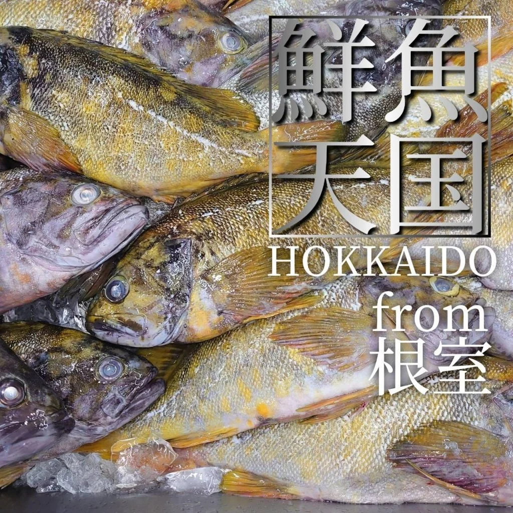 【忘年会予約開始】