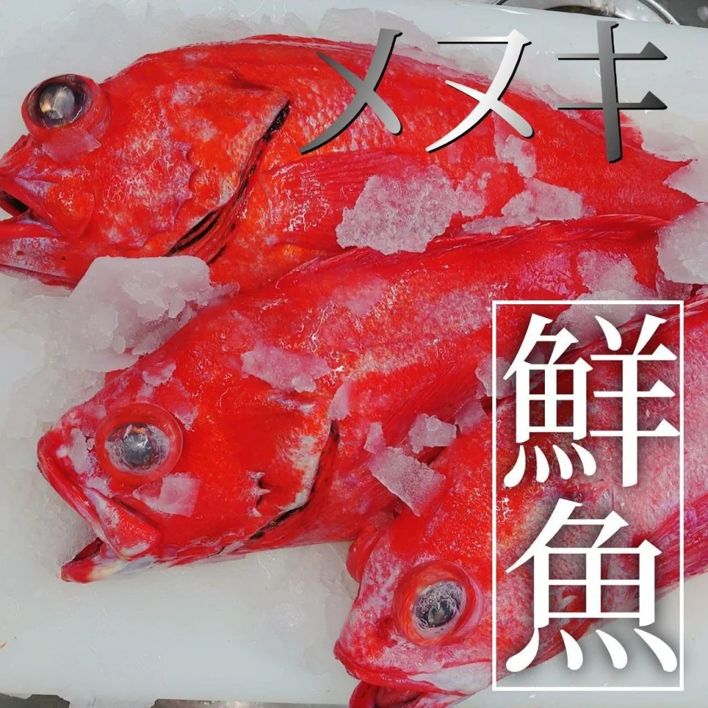 【忘年会予約開始】